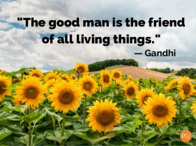 a good man is a friend of all living things